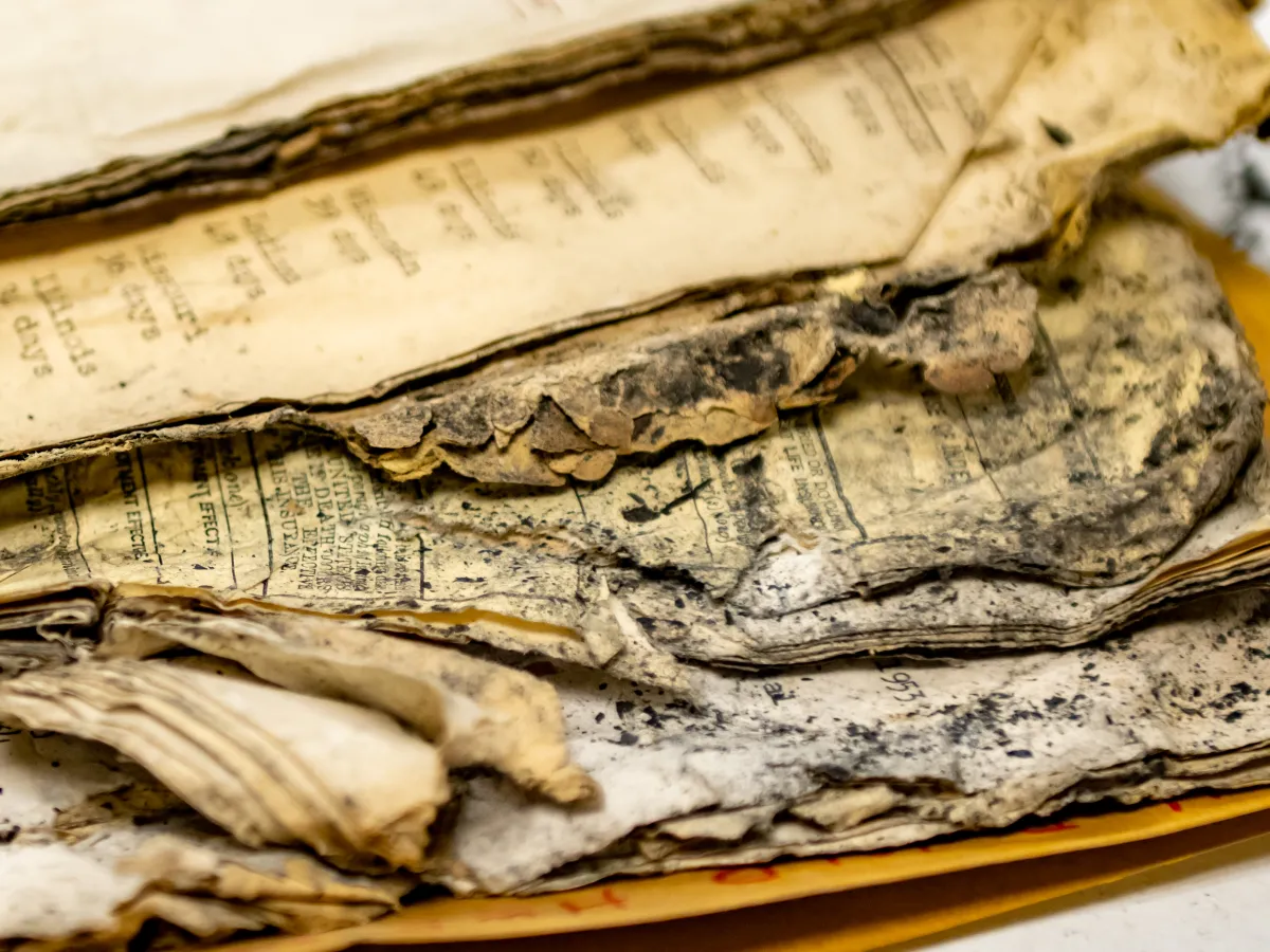 Water-damaged pages covered in soot and mold